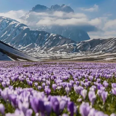 La Montagna Incantata Isola del Gran Sasso dʼItalia